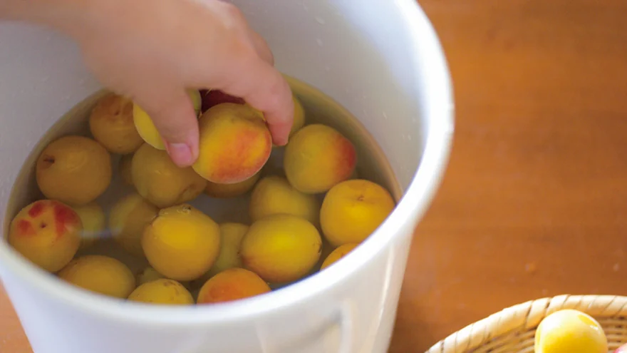 recipes