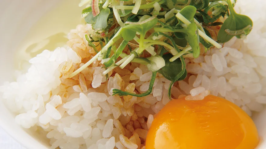 recipes