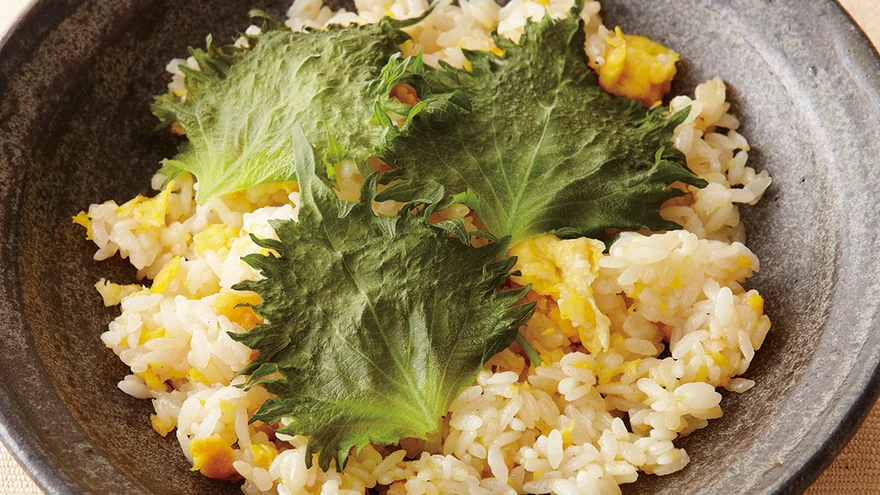 recipes